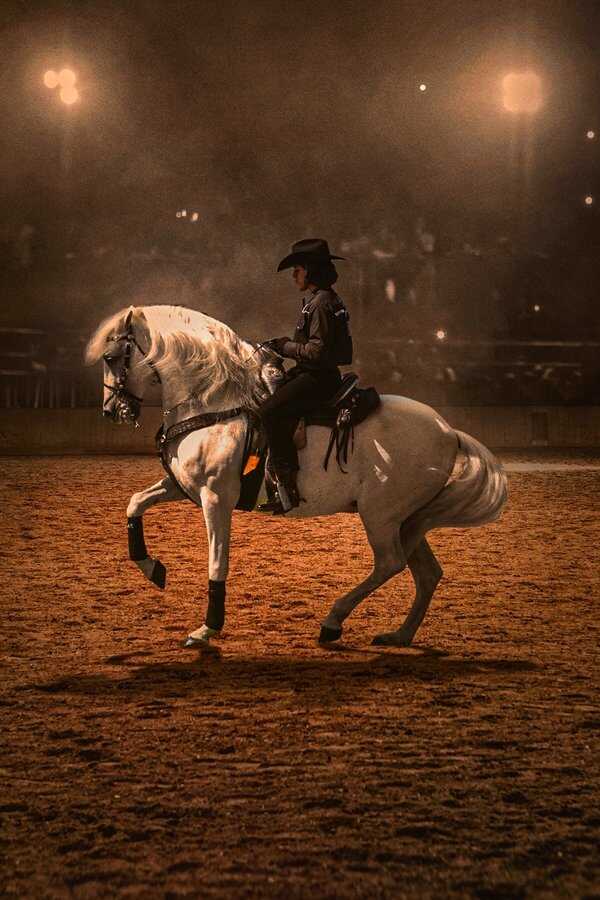 Centurion: The Dancing Stallion (2023) 0