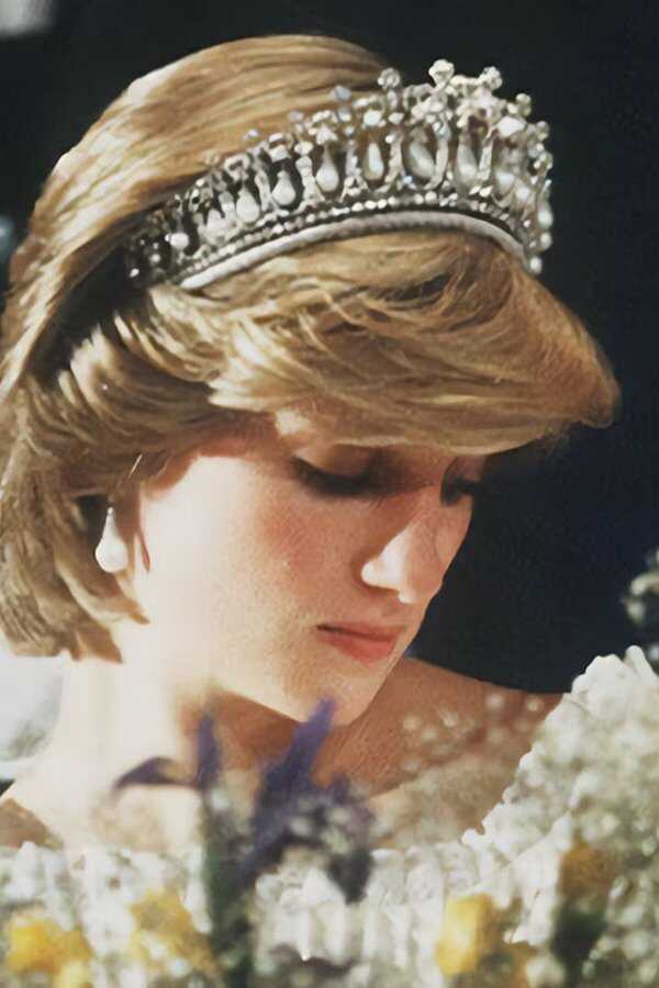 Diana: l'envers de la couronne (2021) 0