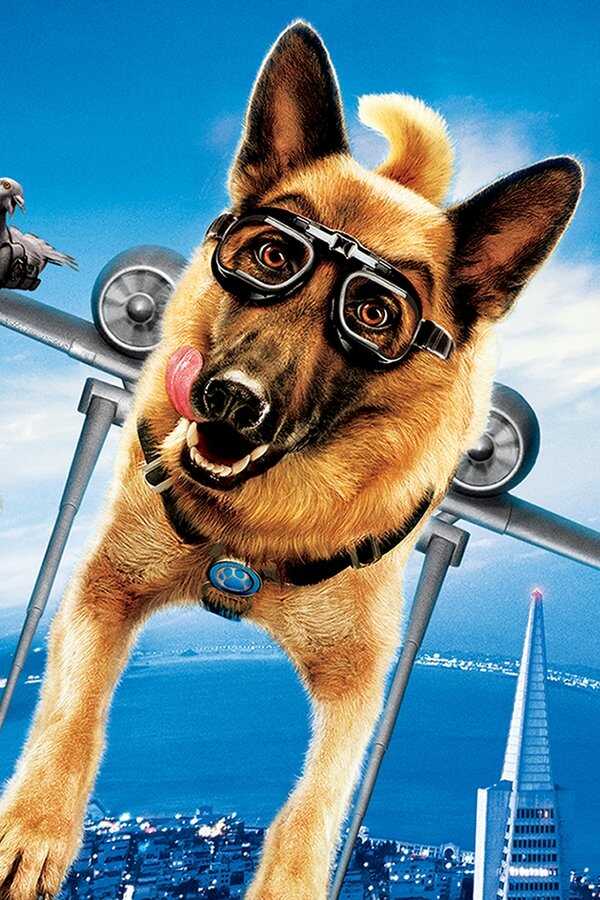 Comme chiens et chats : La revanche de Kitty Galore (2010) 0