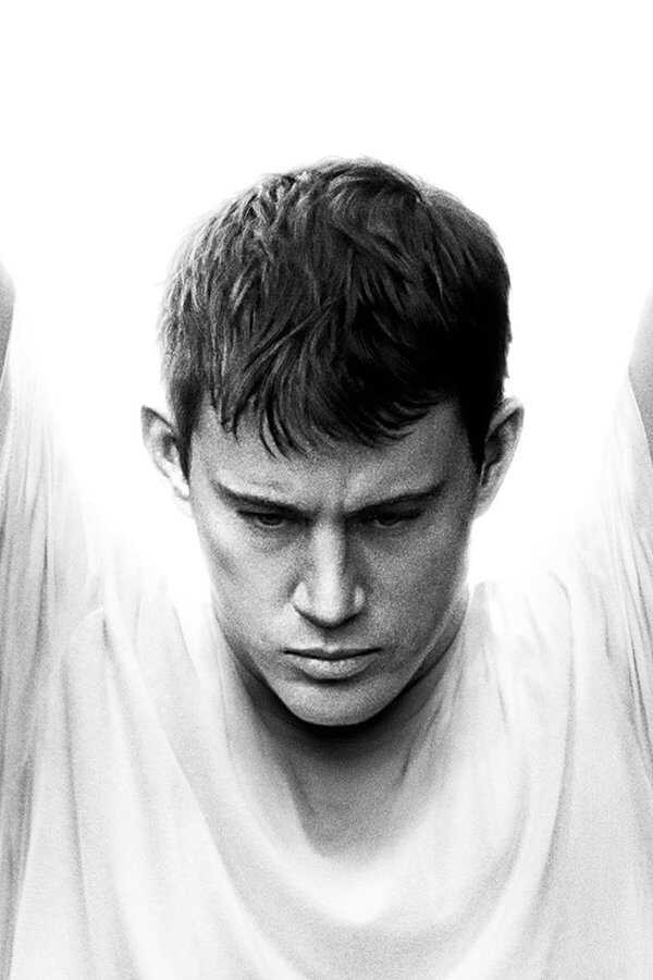 Fighting (2009) 0