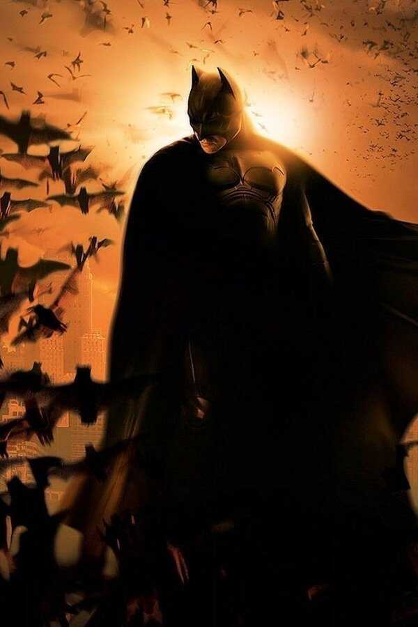 Batman Begins (2005) 0