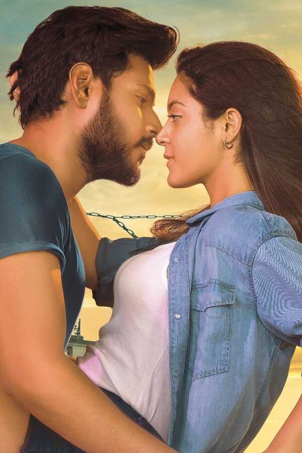 Ninu Veedani Needanu Nene (2019) 0