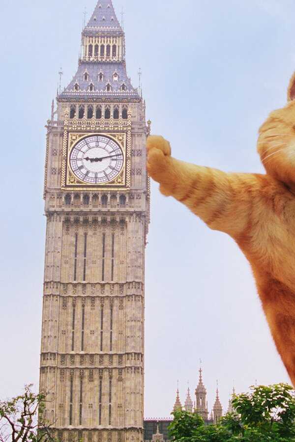 Garfield: A Tail of Two Kitties (2006) 0