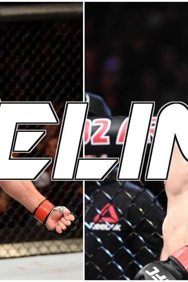 UFC 282: Blachowicz vs. Ankalaev - Prelims (2022) 0
