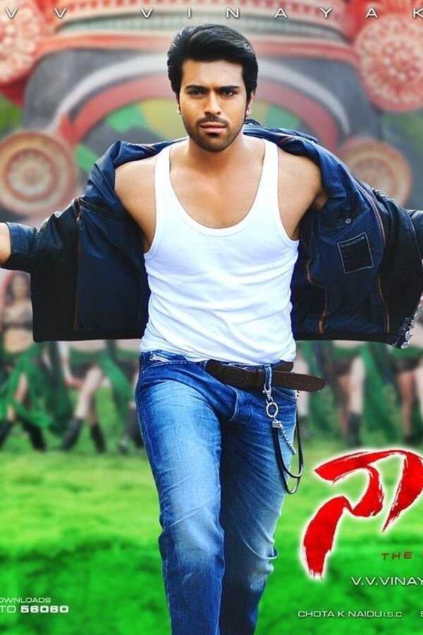 నాయక్ (2013) 0