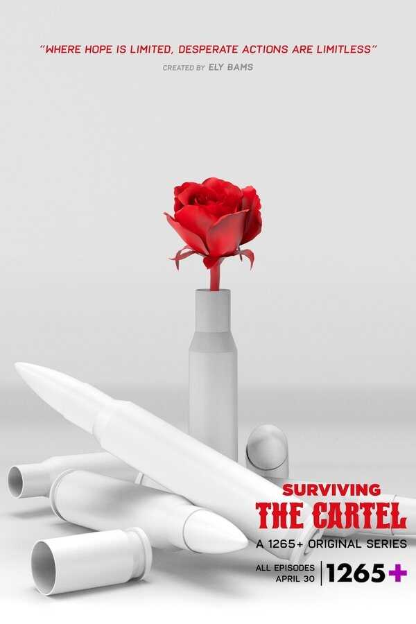 ES - Sobrevivir al cartel (2022) 4