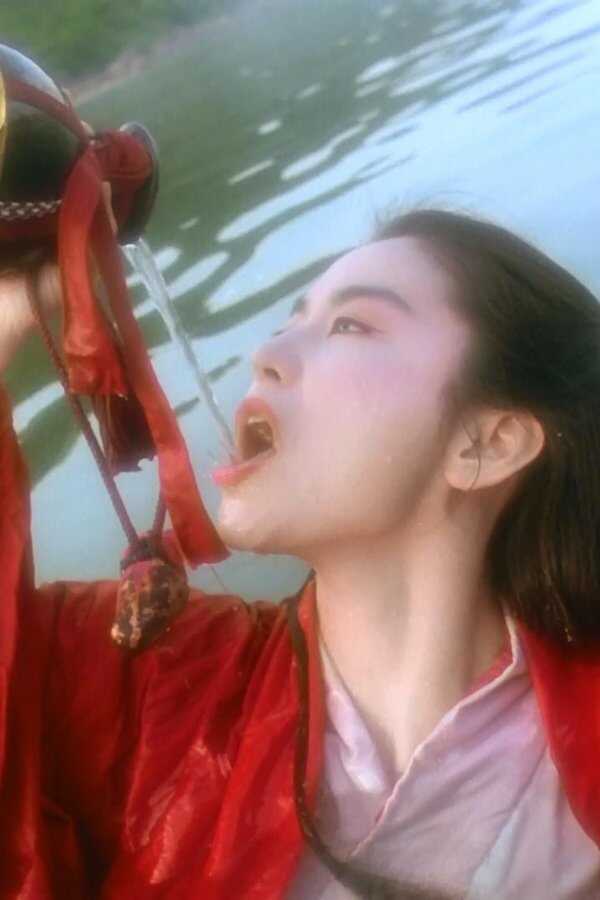 China Swordsman (1992) 0