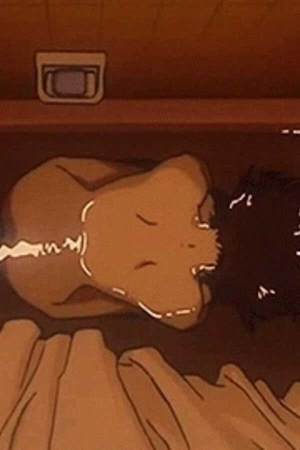 Perfect Blue (1997) 0