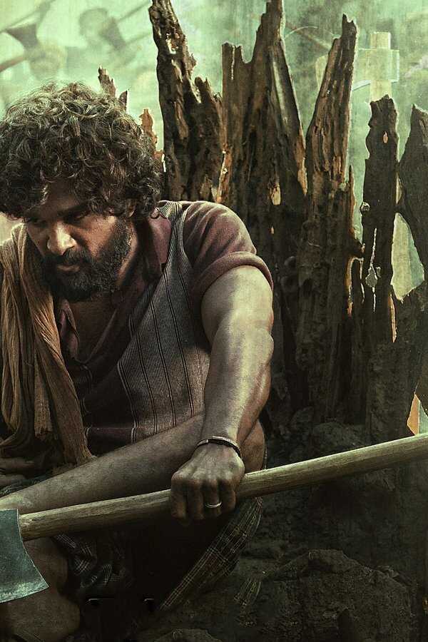 పుష్పా - The Rise (2021) 0