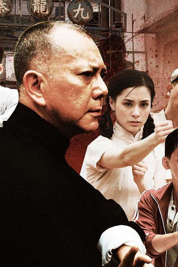 Ip Man: Ostatnia Walka (2013) 0