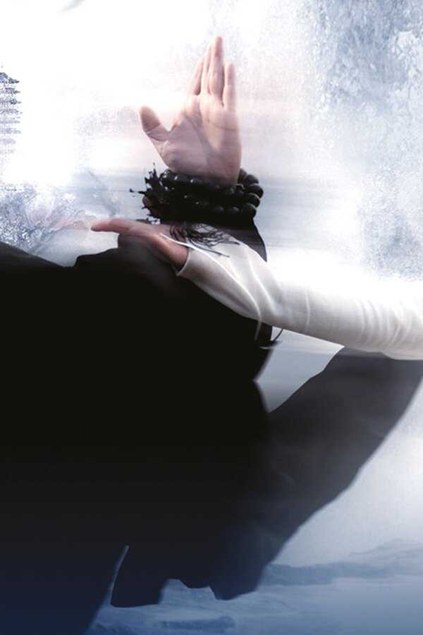 白蛇传说 (2011) 0