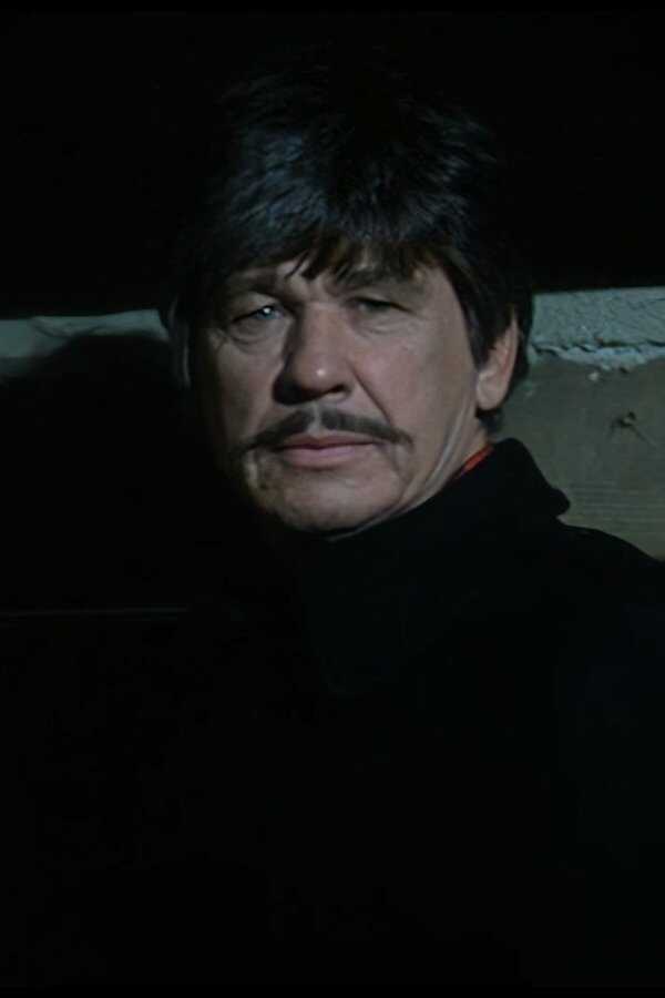 Love and Bullets (1979) 0