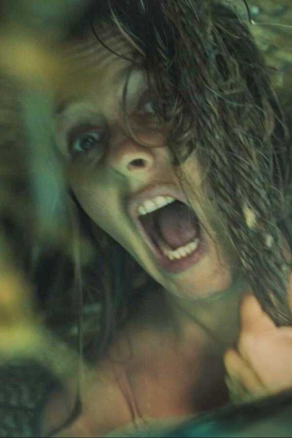 The Requin (2022) 0