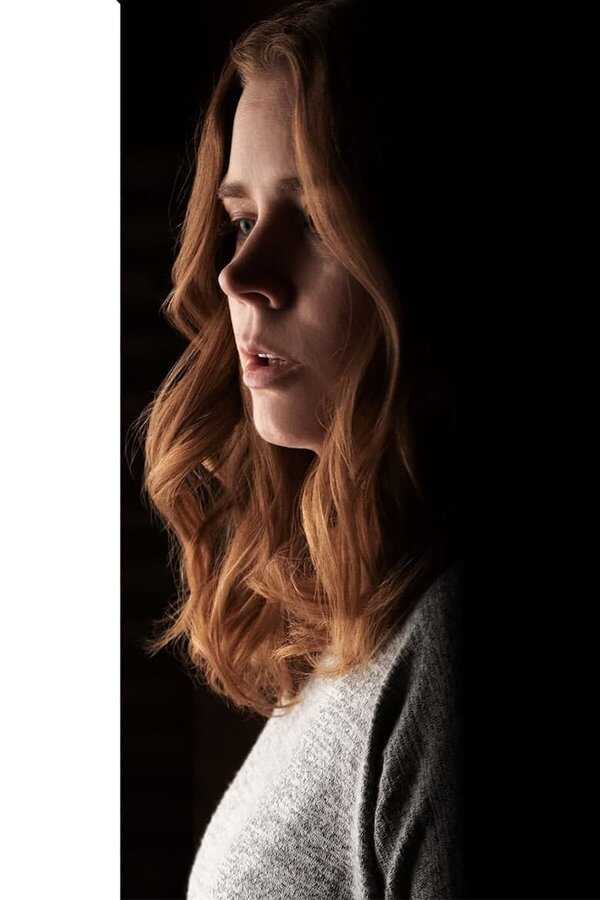 The Woman in the Window (2021) 0