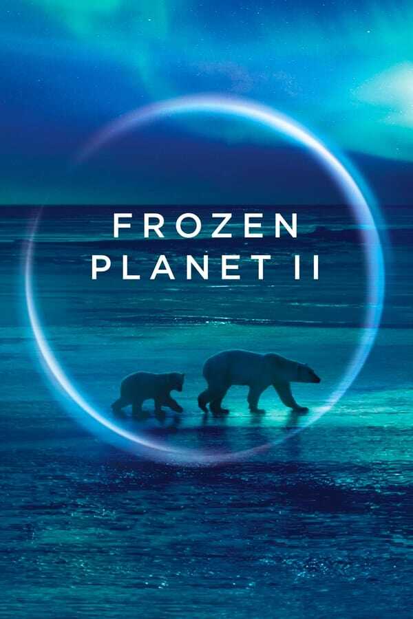 AR - Frozen Planet II  (2022) 5
