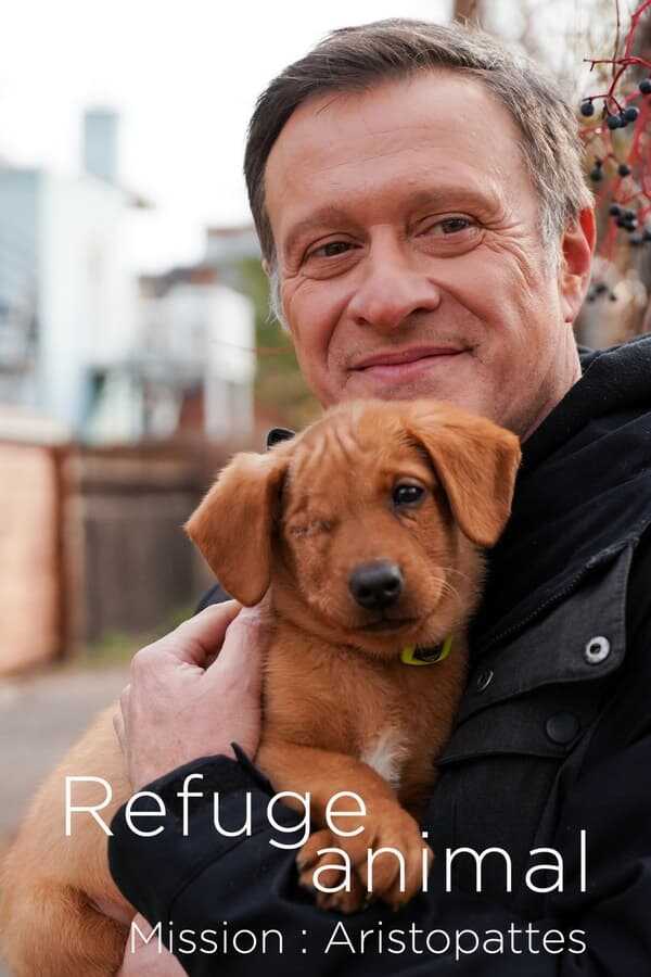 QFR - Refuge animal : Mission Aristopattes 4
