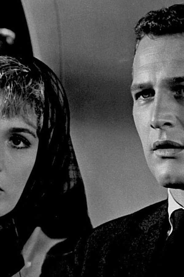 Le Rideau déchiré (1966) 0