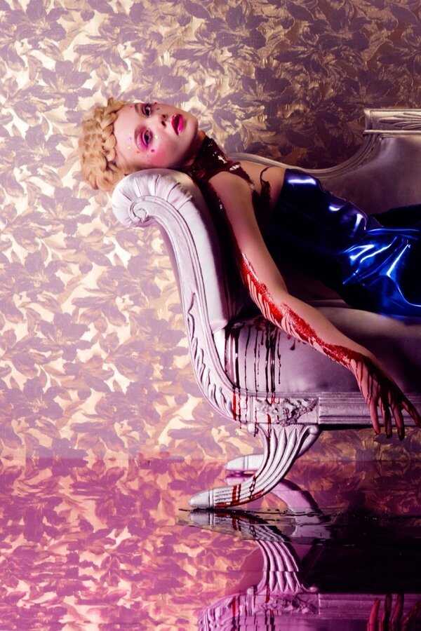 The Neon Demon (2016) 0
