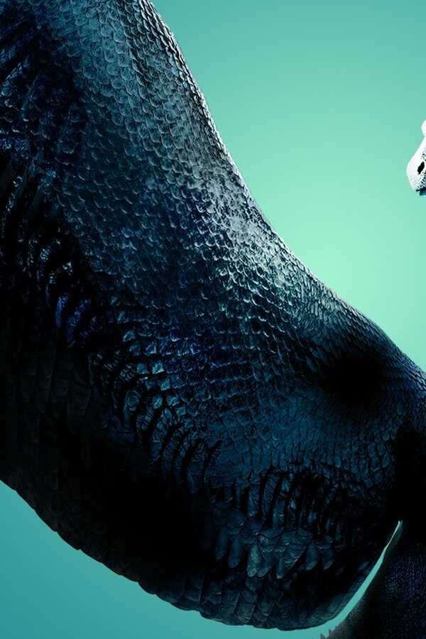 Eragon (2006) 0