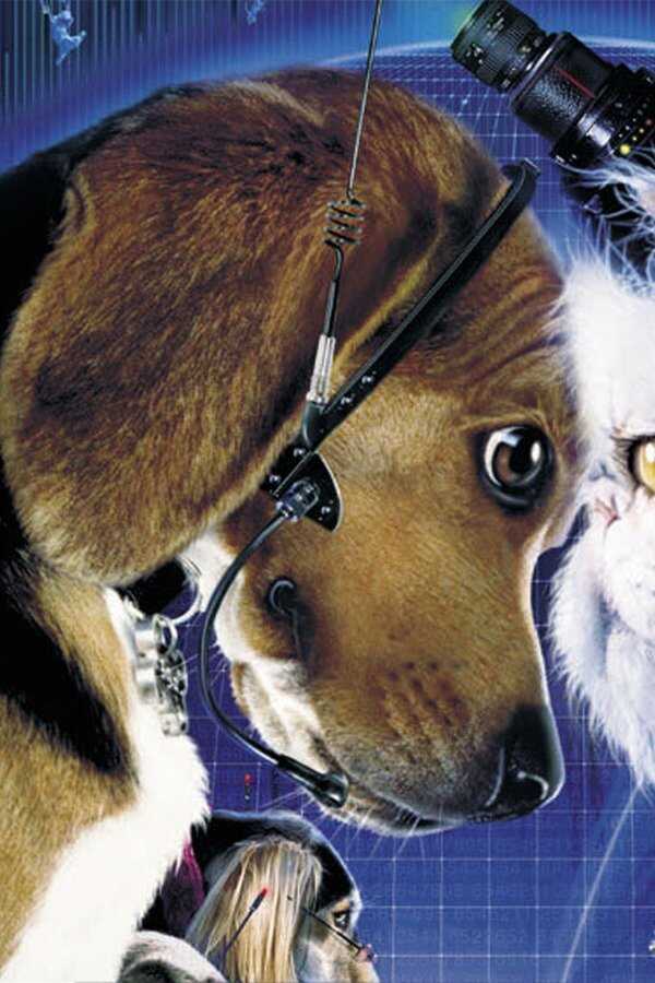 Psy i Koty (2001) 0