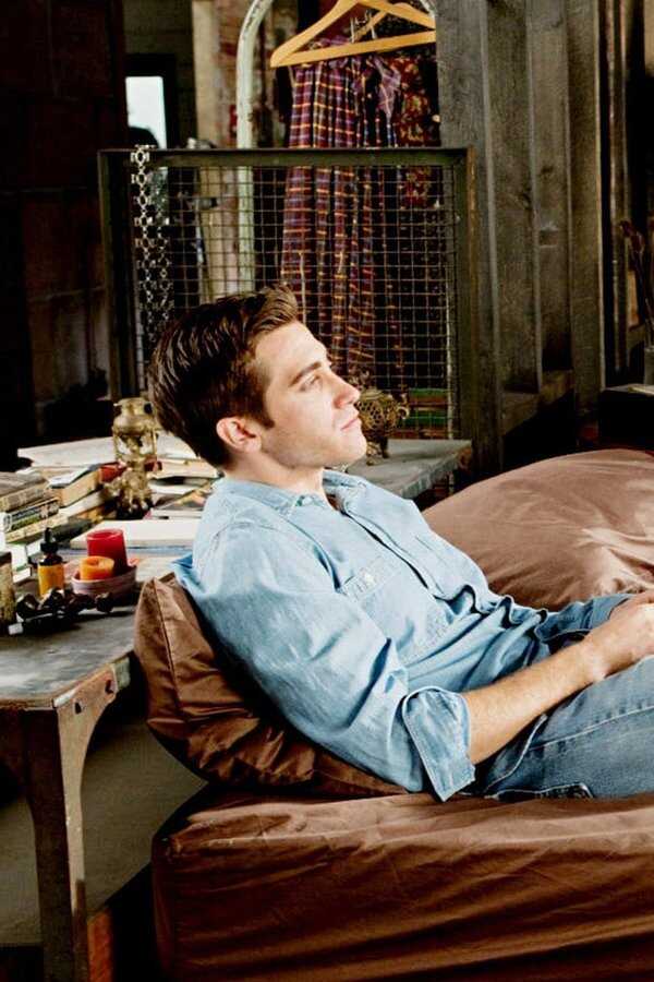 Love & Other Drugs (2010) 0