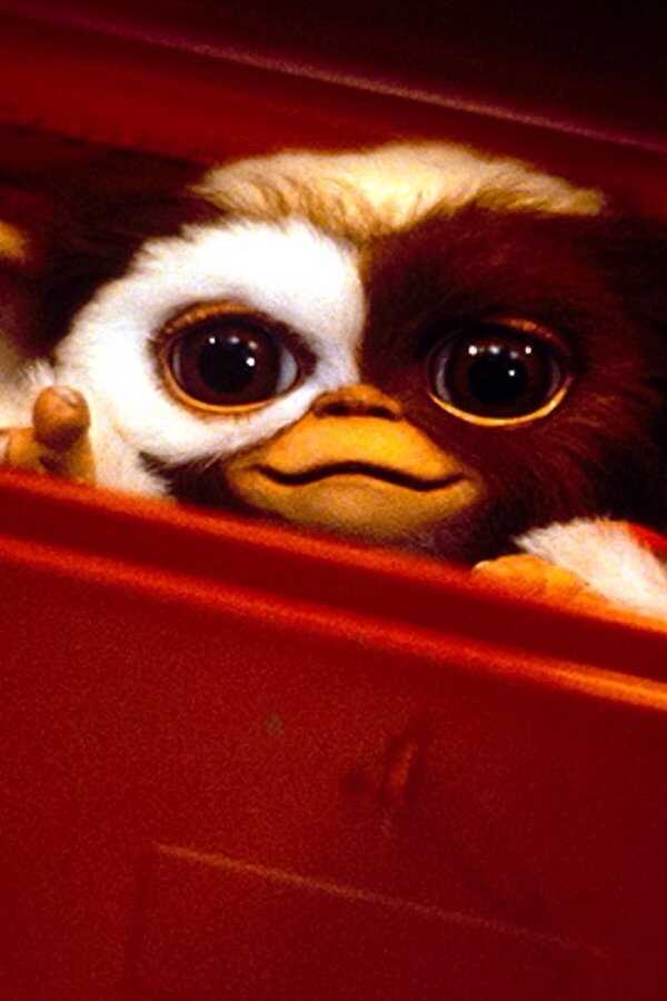Gremlins 2 : La Nouvelle Génération (1990) 0