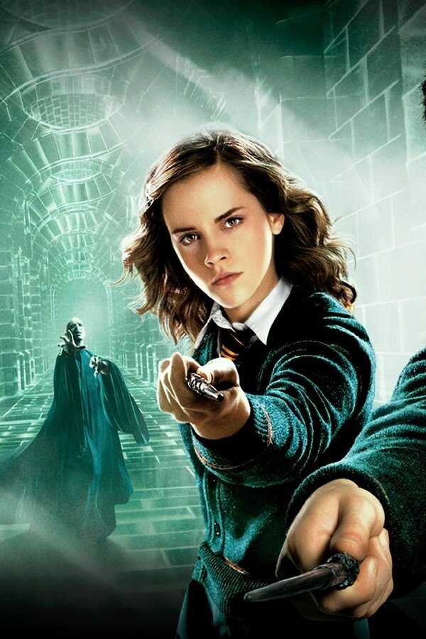 Harry Potter and the Order of the Phoenix (2007) 0