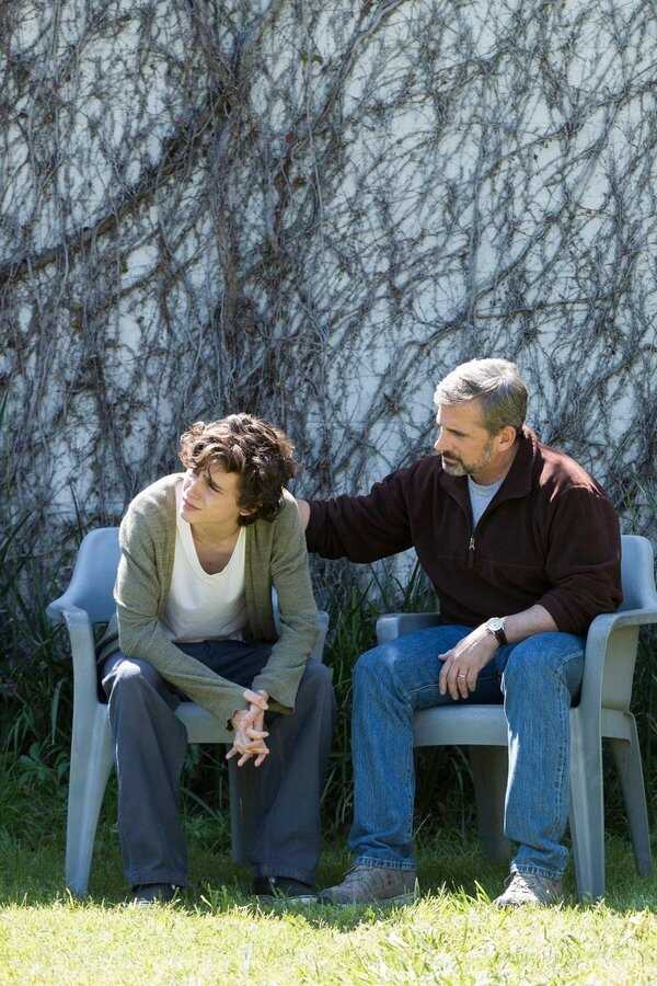 Beautiful Boy (2018) 0