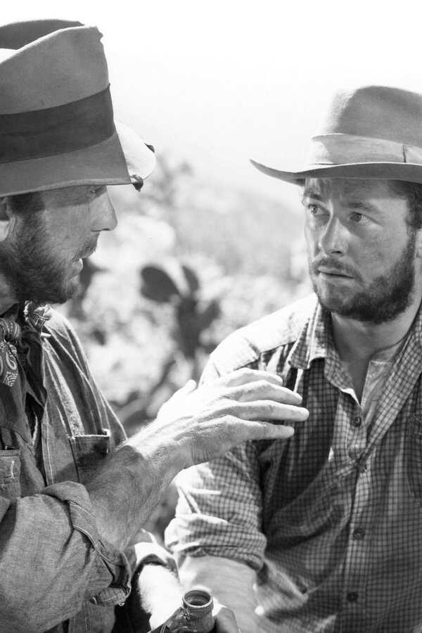 The Treasure of the Sierra Madre (1948) 0