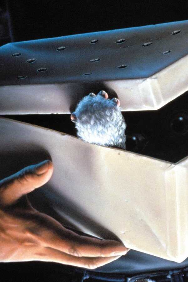 Gremlins (1984) 0