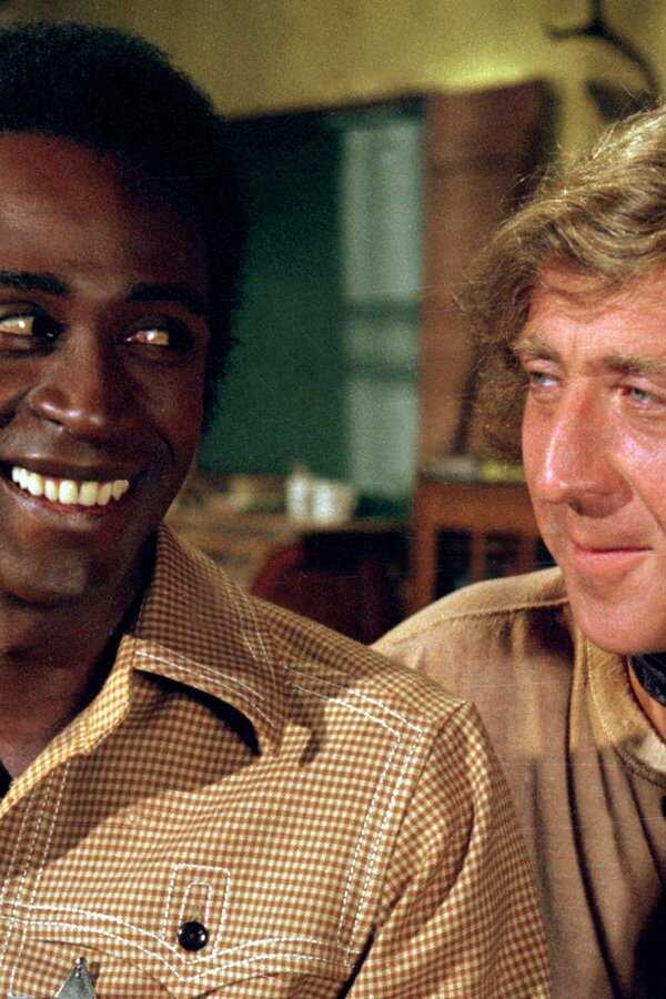 Blazing Saddles (1974) 0