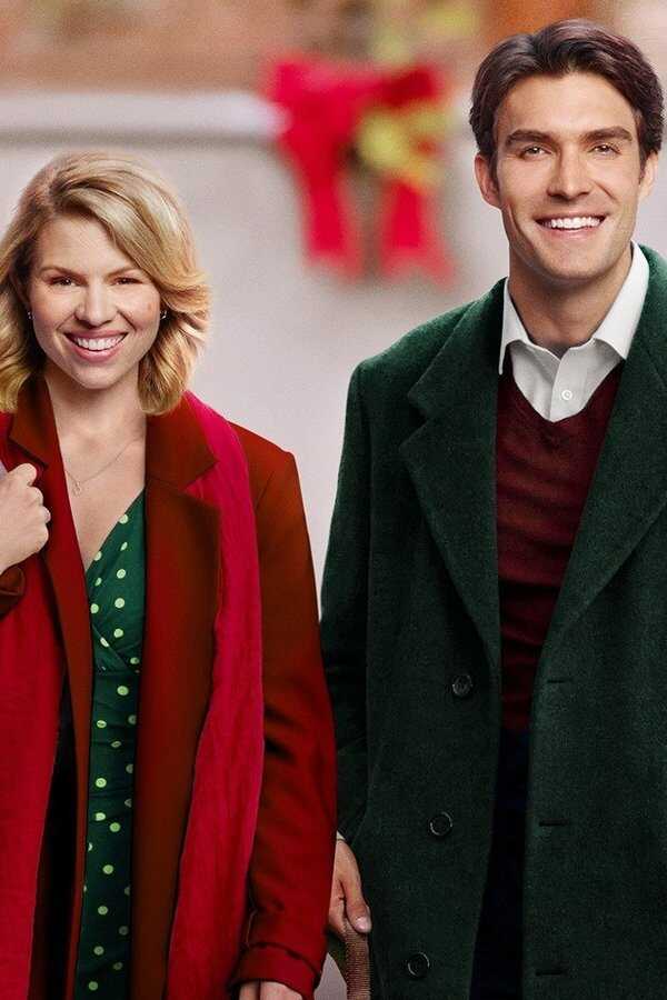 Noël avec un inconnu (2017) 0