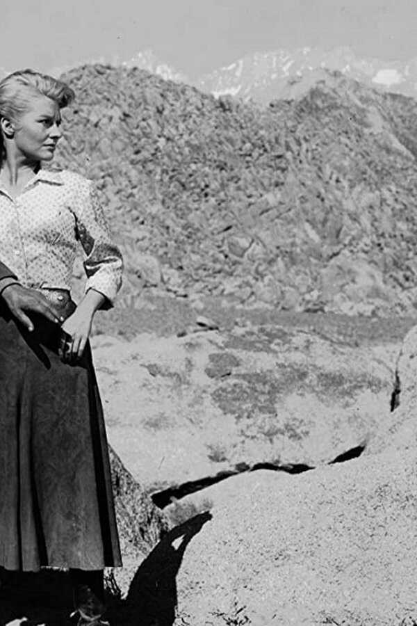 The Violent Men (1955) 0