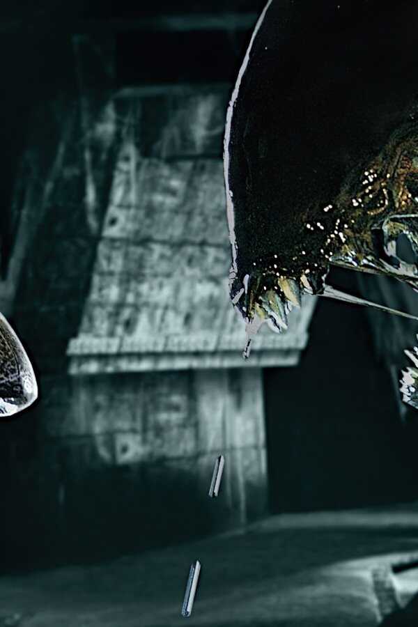 Obcy kontra Predator (2004) 0