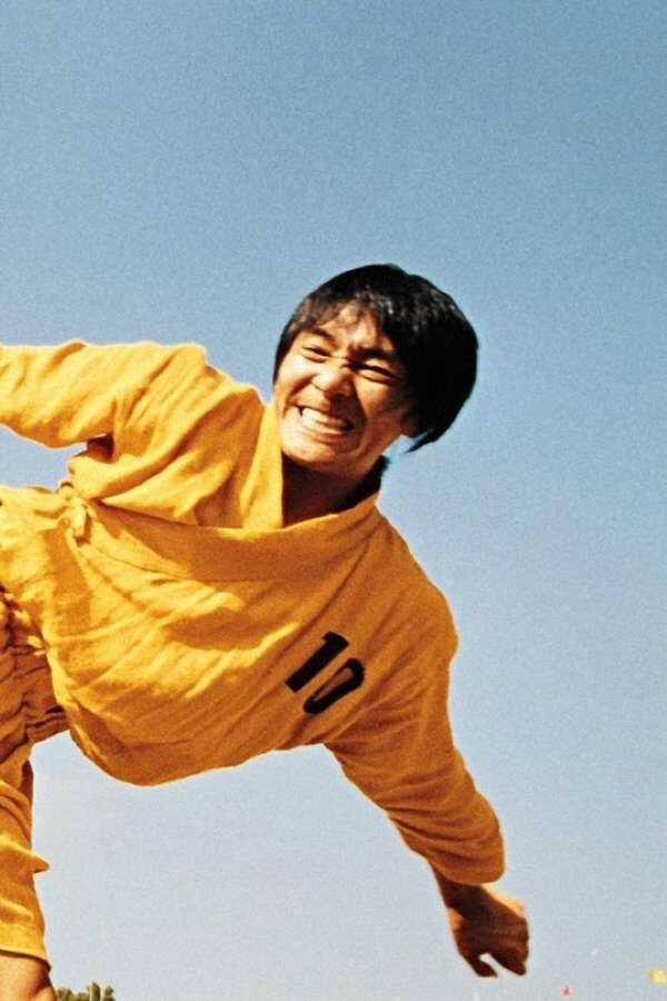 Shaolin Soccer (2001) 0