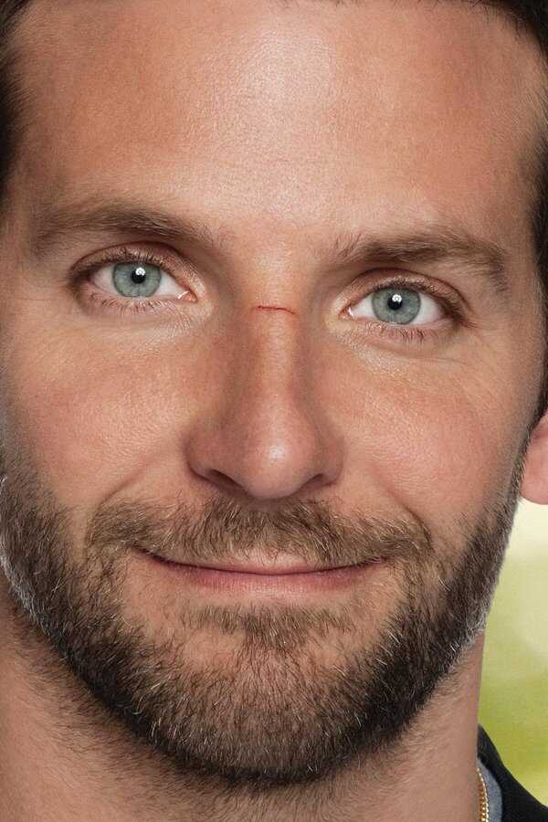 Silver Linings Playbook (2012) 0
