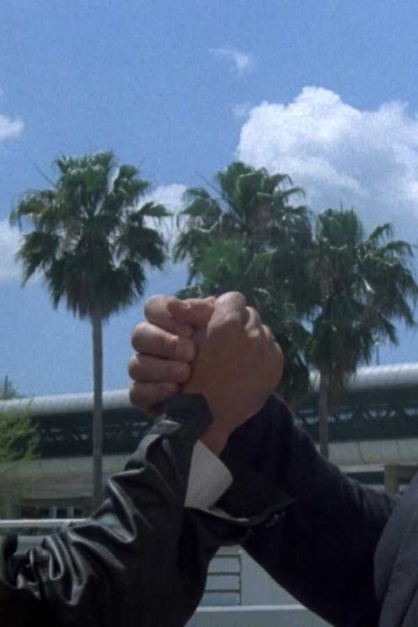 Supergliny z Miami (1985) 0