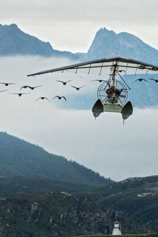 Spread Your Wings (2019) 0