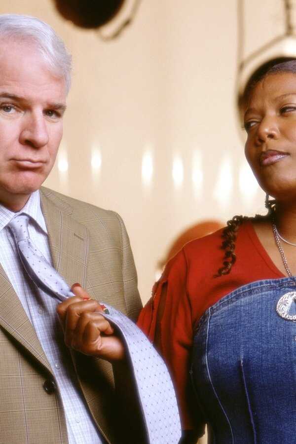 Bringing Down the House (2003) 0