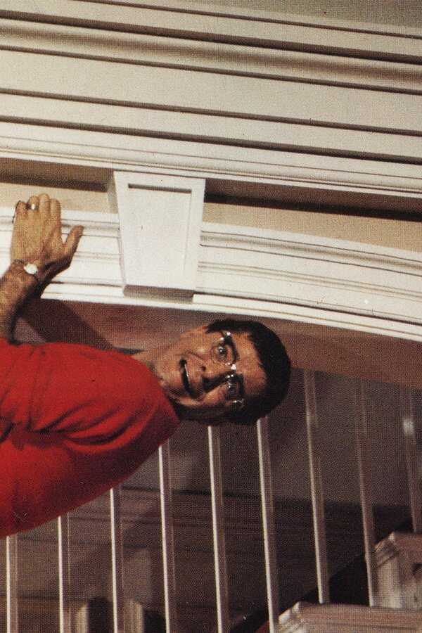 The Ladies Man (1961) 0