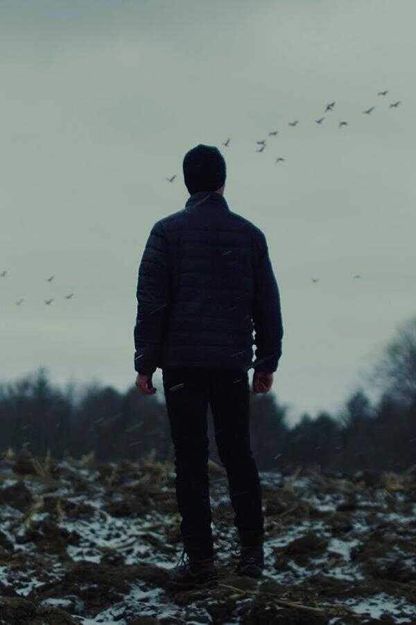 Wolves (2022) 0