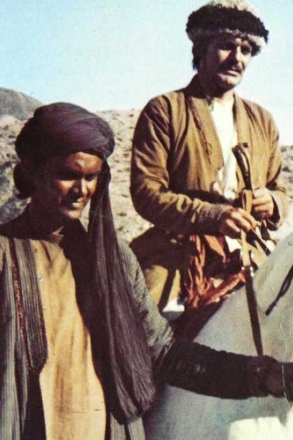 The Horsemen (1971) 0