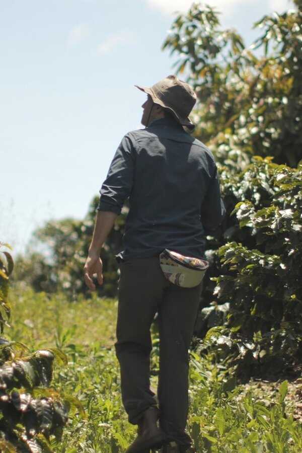 Kiss the Ground: Agricultura Regenerativa (2020) 0