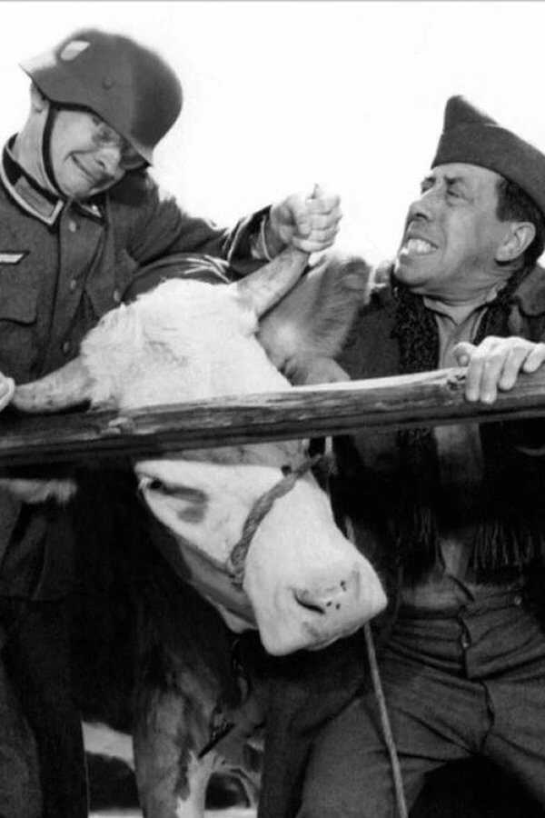 La Vache et le Prisonnier (1959) 0