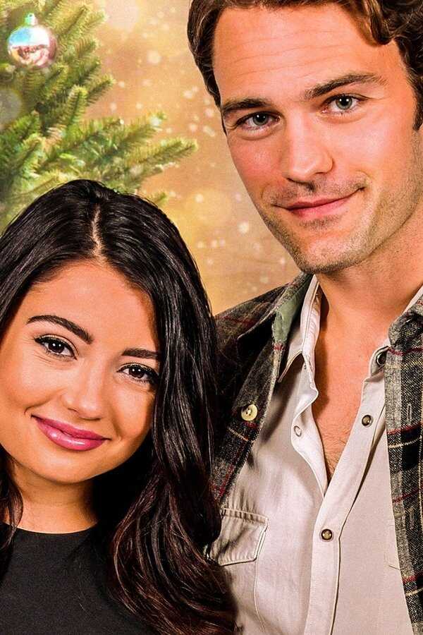 A Wedding for Christmas (2018) 0