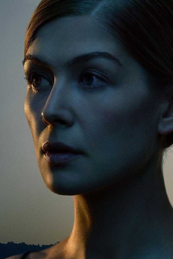 Gone Girl - Das perfekte Opfer (2014) 0