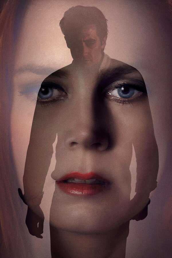 Nocturnal Animals (2016) 0