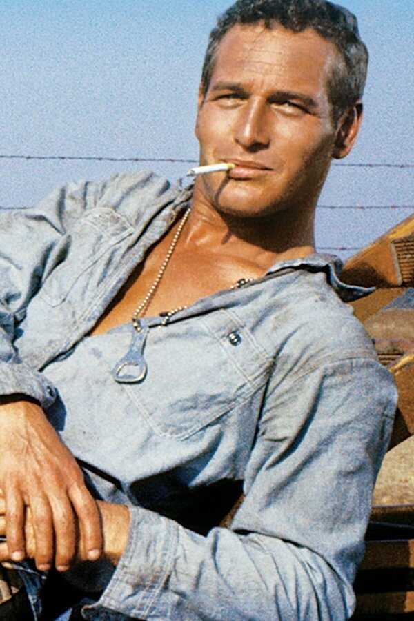 Cool Hand Luke (1967) 0