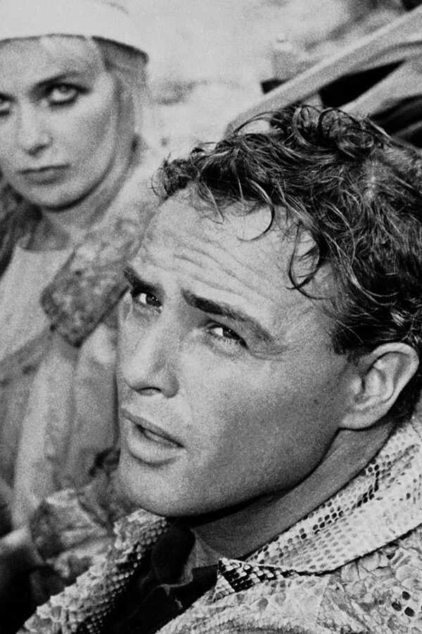 The Fugitive Kind (1960) 0