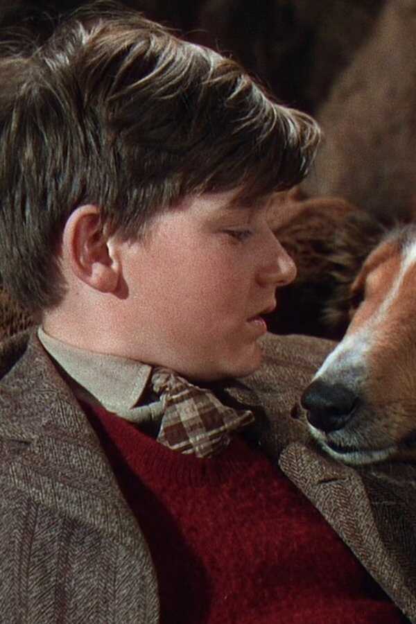 Lassie wróć (1943) 0
